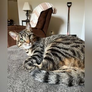 Meet your Posher, Lauren